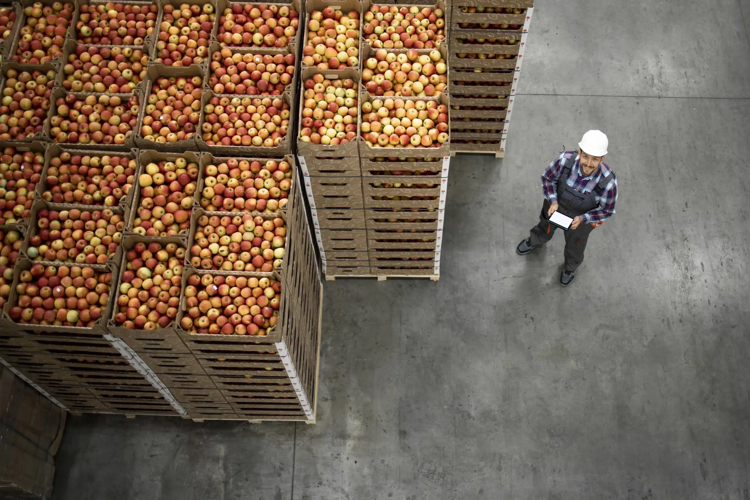 Man in white hard hat looking up while beside crates of apples